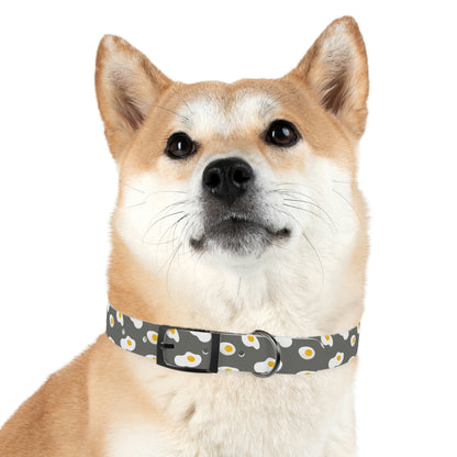 So HOT you Could Fry an Egg - Dog Collar