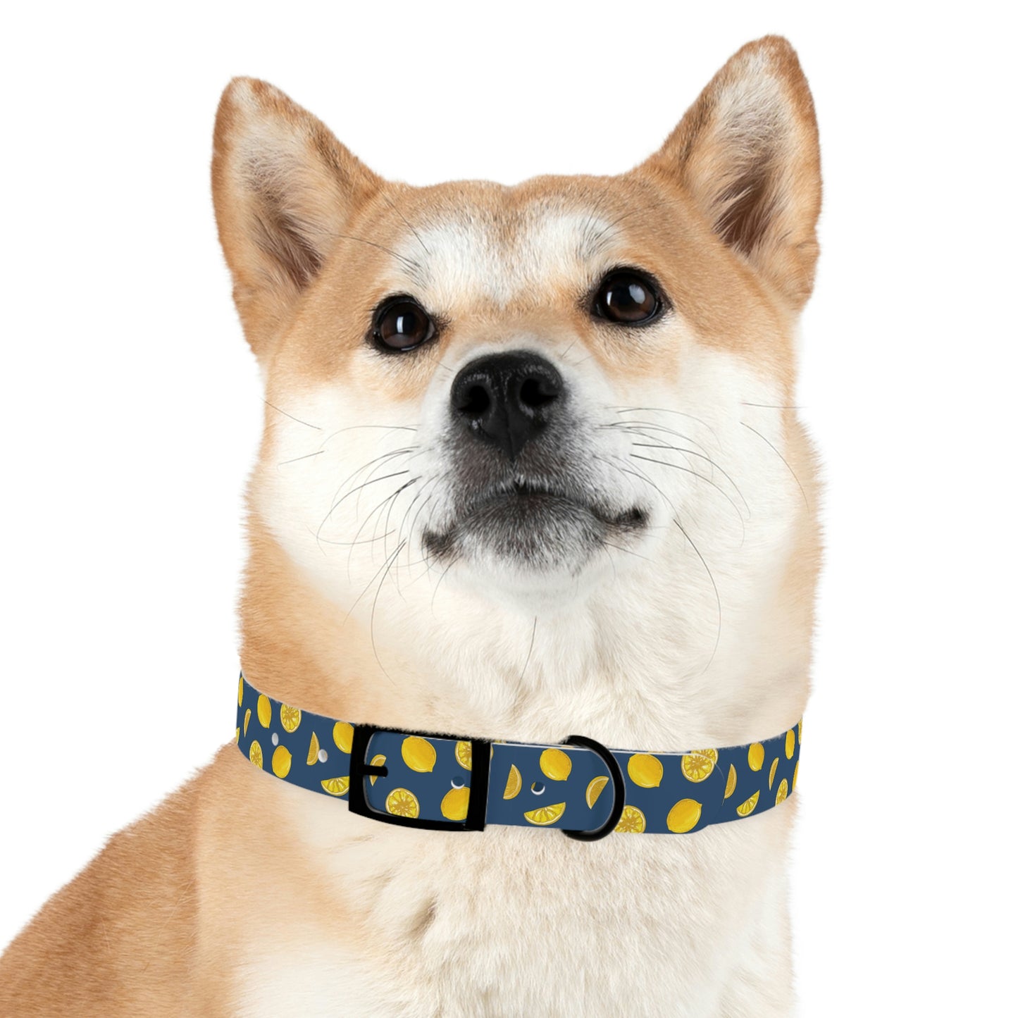 When Life Gives You Lemons - Dog Collar