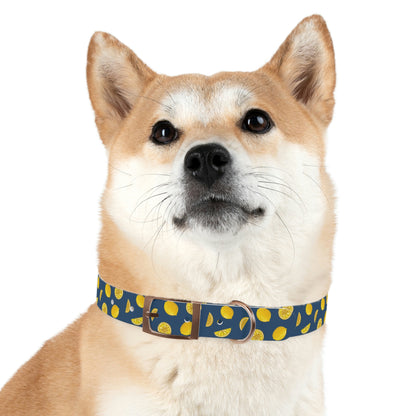 When Life Gives You Lemons - Dog Collar