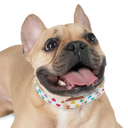 Pastel Rainbow Love - Dog Collar