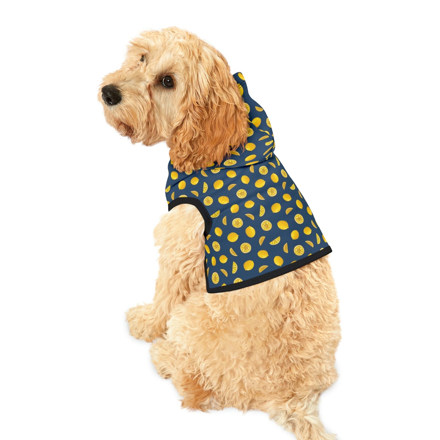 When Life Gives You Lemons - Doggie Hoodie